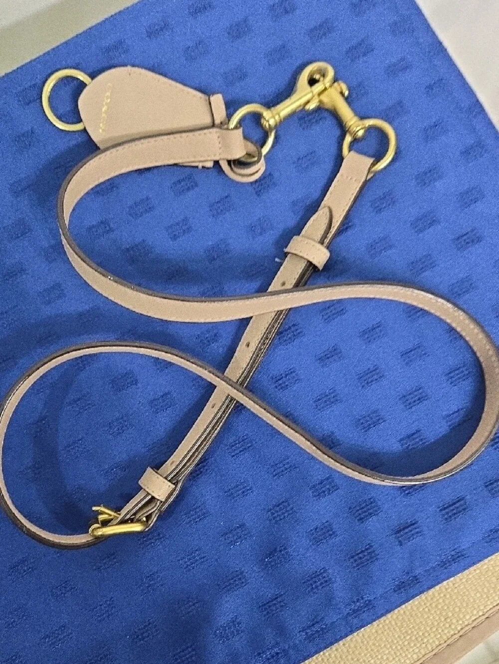 Coach detachable leather